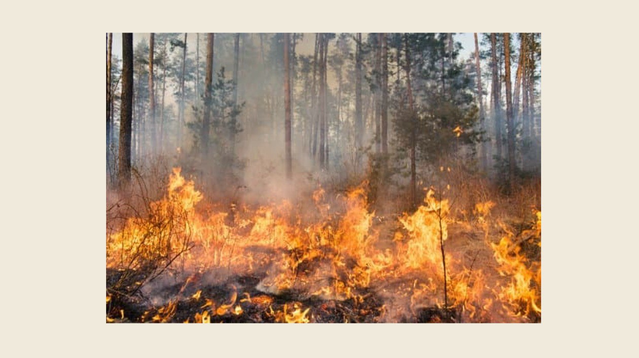 Incendio Anunciado «Bajo Control» en Buenos Días… Termina Fuera de Control (¡Y Sin Buenos Días!)